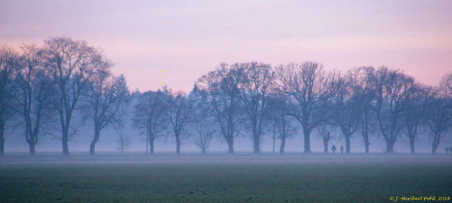 Germering_Gut_Streiflach_-_Heimker_vom_ersten_Spaziergang_im_Jahr_(11745314153)